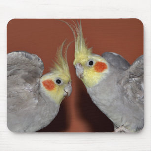 Nymphensittich-Duo-Mauspad Mousepad