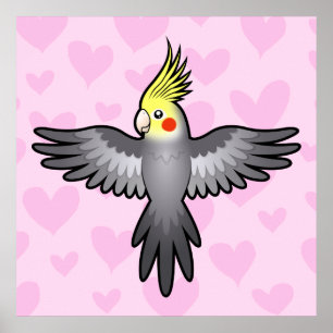 Nymphensittich Liebe Poster
