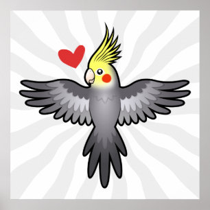 Nymphensittich Liebe Poster