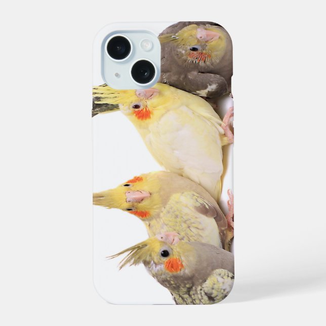 Nymphensittiche iPhone 15 Hülle (Rückseite)