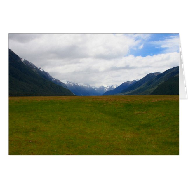 Nz-Feld (Vorderseite (Horizontal))