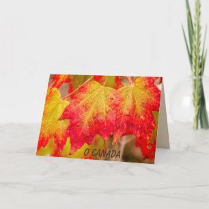 O CANADA KARTE