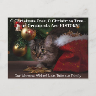 O Christmas Tree Cat Holiday Foto Postkarte