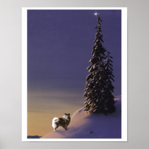 "O Christmas Tree" Keeshond-Poster Poster