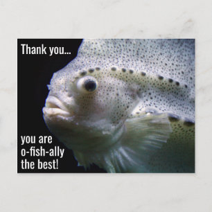 O-fish the Best Danke Postcard Postkarte