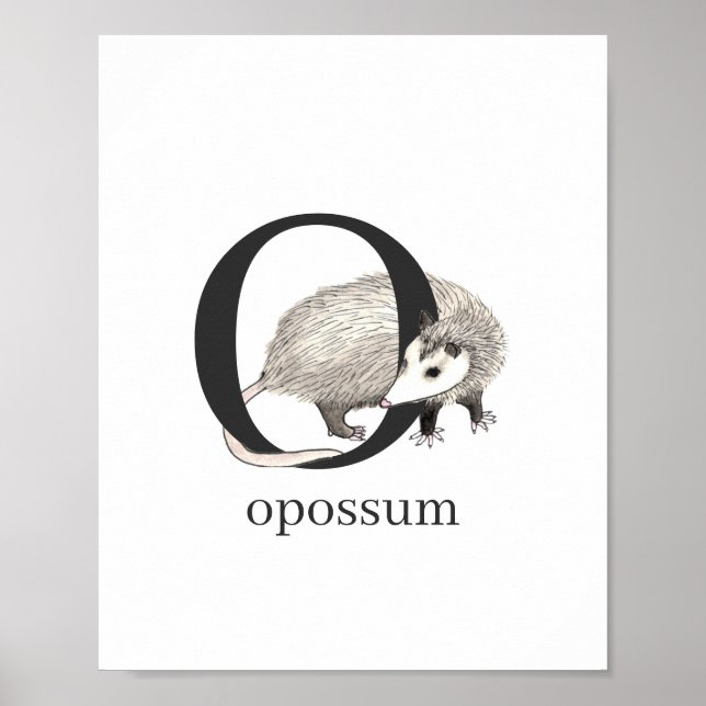 O für Opossum-Poster Poster (Vorne)