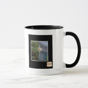 O hai tasse