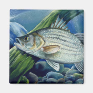 O.K. Bowles 2008 1036 hoch Magnet