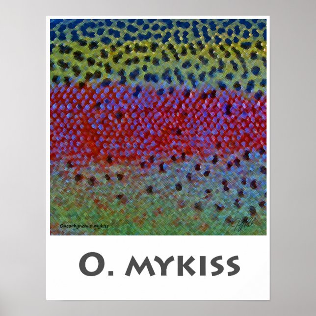 O Mykiss - Poster (Vorne)