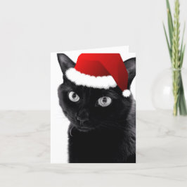 O-Weihnachtsbaum-Katzen-Karte Feiertagskarte
