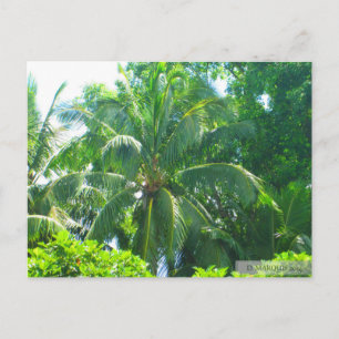 OAHU, HAWAII #17 POSTCARD POSTKARTE