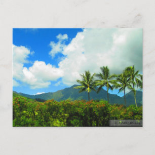 OAHU, HAWAII#6 POSTCARD POSTKARTE