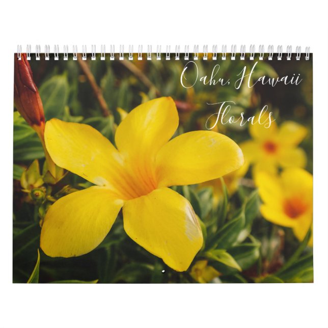 Oahu, Hawaii Fotografie durch Restore Kalender (Titelbild)