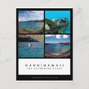 Oahu Hawaii Hanauma Bay Postkarte