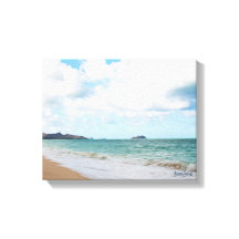 Oahu Hawaii Ocean Waves & Beach