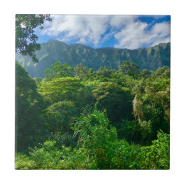 Oahu, Hawaii Regenwald Fliese