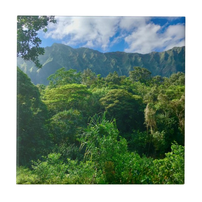 Oahu, Hawaii Regenwald Fliese (Vorderseite)