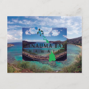 Oahu Island Turtle Postkarte