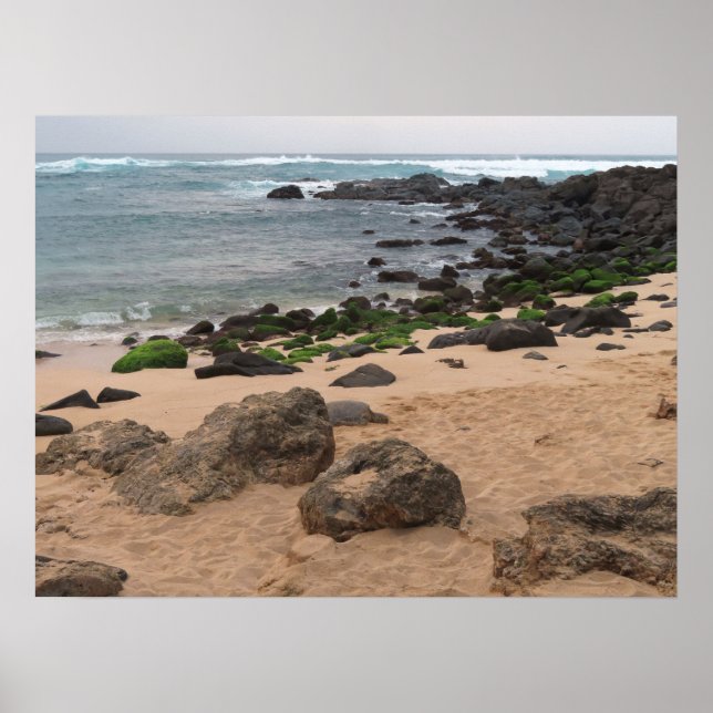 Oahu's North Shore and Sea Turtle  Poster (Vorne)