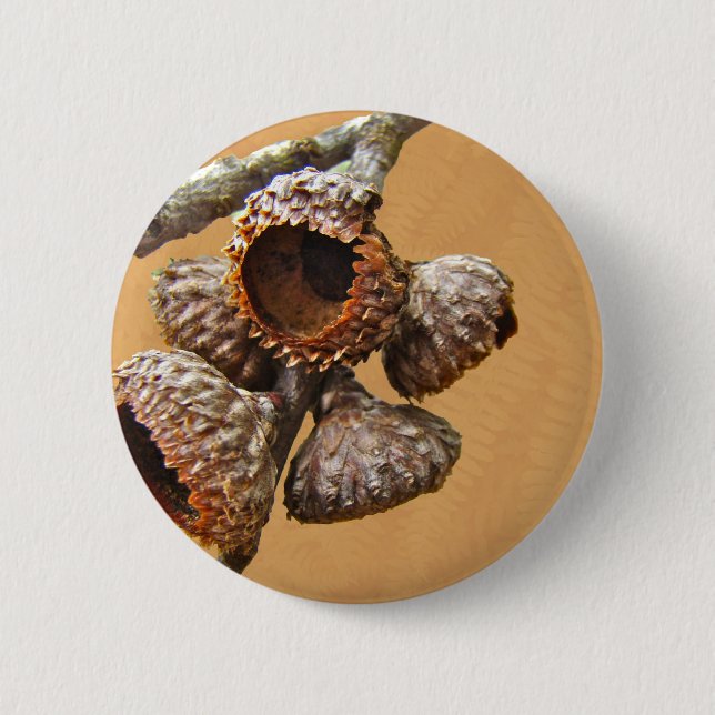 Oak Acorn Caps Button (Vorderseite)