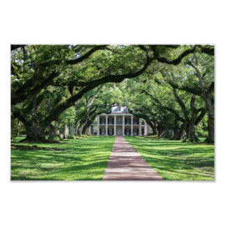 Oak Alley Plantation Fotodruck