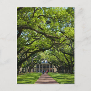 Oak Alley Plantation House Postkarte