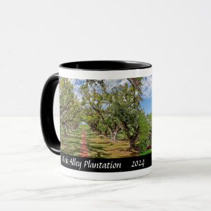 Oak Alley Plantation, Louisiana - Live Oak Trees Tasse