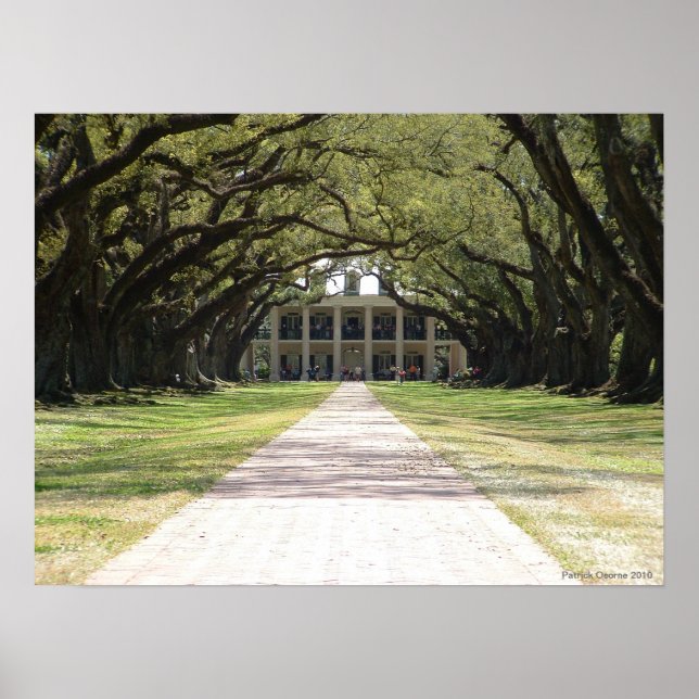 Oak Alley Plantation Poster (Vorne)
