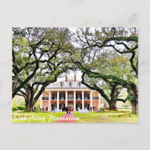 Oak Alley Plantation Postkarte