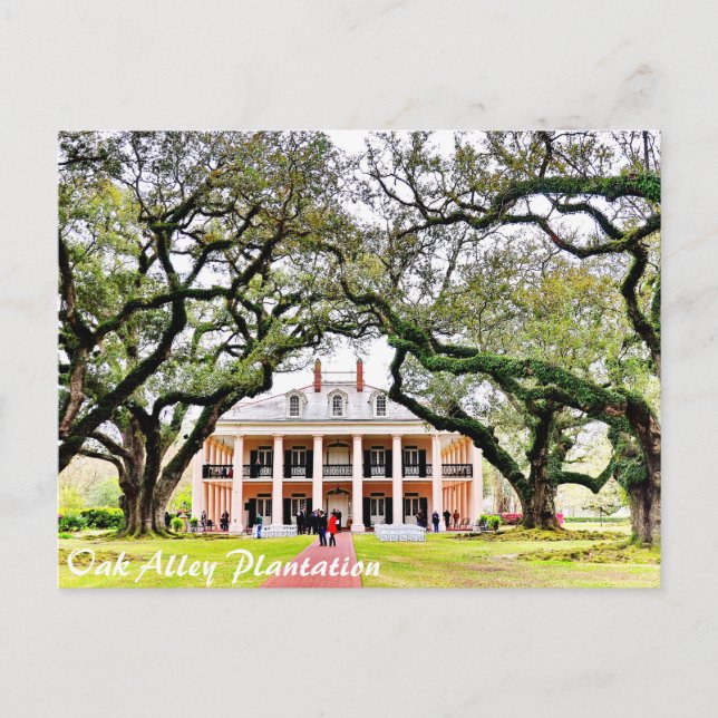 Oak Alley Plantation Postkarte (Vorderseite)
