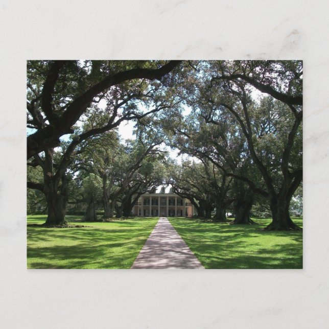 Oak Alley Plantation Postkarte (Vorderseite)