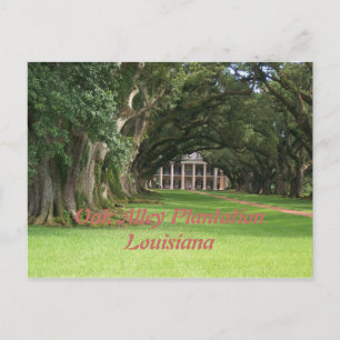 Oak Alley PlantationLouisiana Postkarte