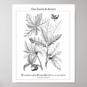 Oak Blätter und Acorns - individualisierbares Quot Poster