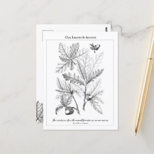 Oak-Blätter und Acorns - Postkarte mit individuell