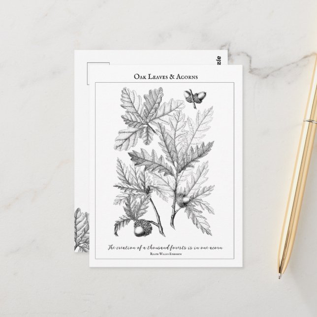 Oak-Blätter und Acorns - Postkarte mit individuell (Vorderseite/Rückseite Beispiel)