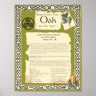 OAK CELTIC SACRED TREM POSTER