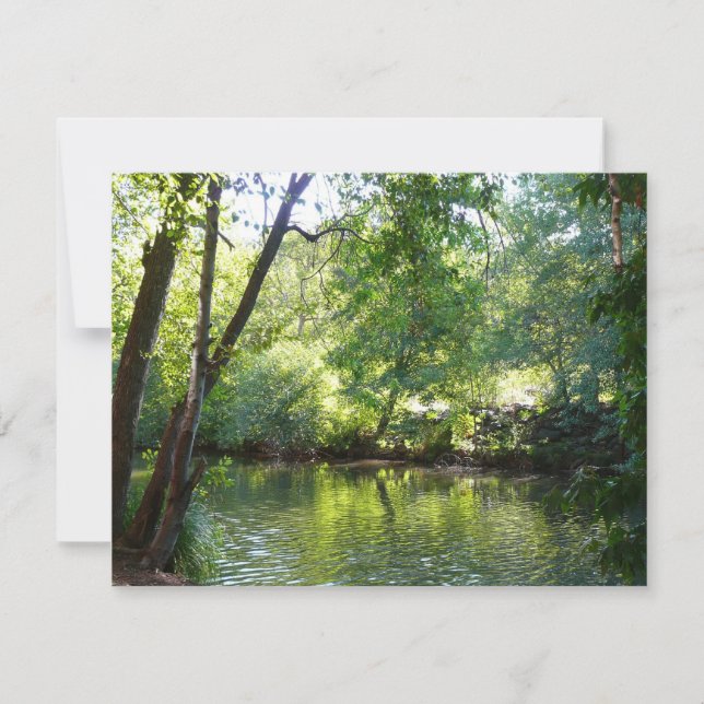 Oak Creek I in Sedona Arizona Naturfotografie (Vorderseite)