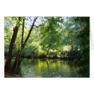 Oak Creek I in Sedona Arizona Naturfotografie