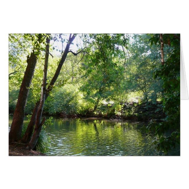 Oak Creek I in Sedona Arizona Naturfotografie (Vorderseite (Horizontal))