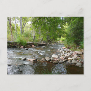 Oak Creek und Mallard Encks Naturfotografie Postkarte