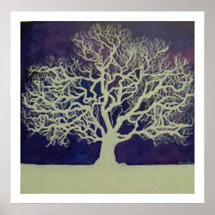 Oak in Winter Poster