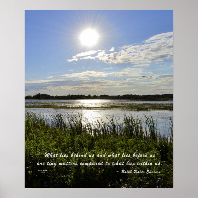 Oak Orchard Swamp Poster (Vorne)