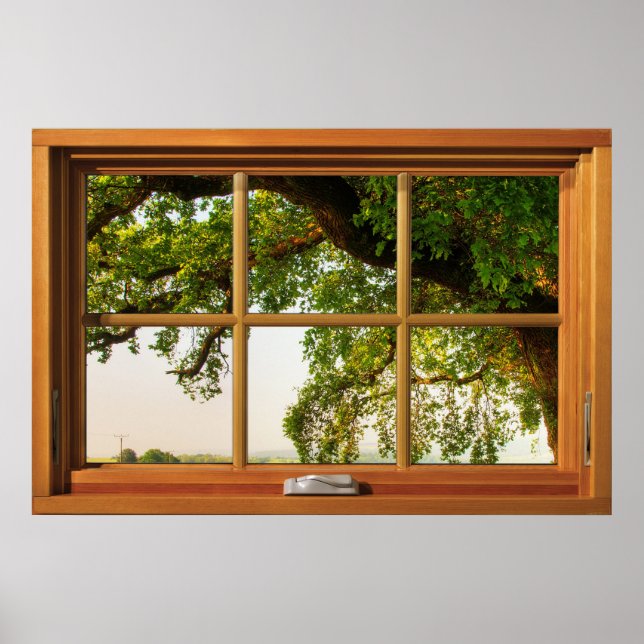 Oak Tree Branches Holzfenster Illusion Poster (Vorne)