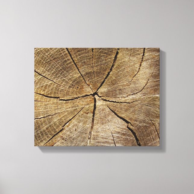 Oak Tree Cross Section Canvas Print Leinwanddruck (Vorderseite)