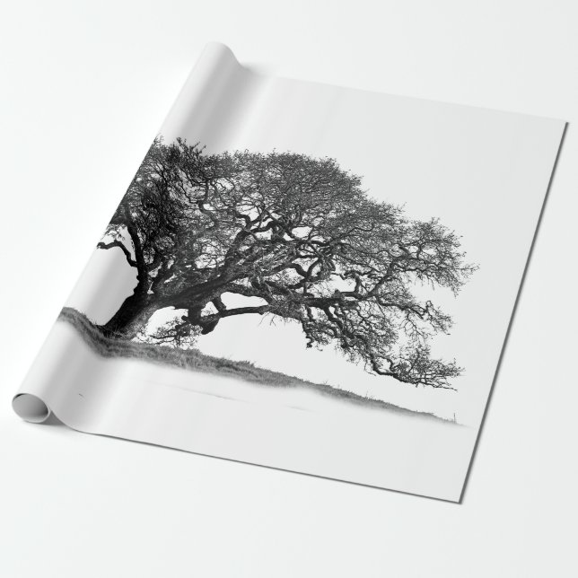 OAK TREE GESCHENKPAPIER (Ungerollt)