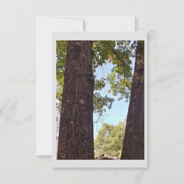 Oak Tree Note Card Dankeskarte (Vorderseite)