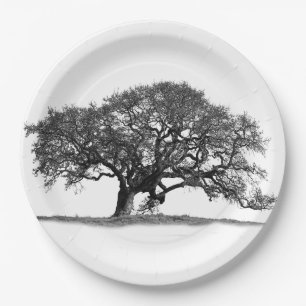 OAK TREE PAPPTELLER