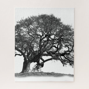 OAK TREE PUZZLE