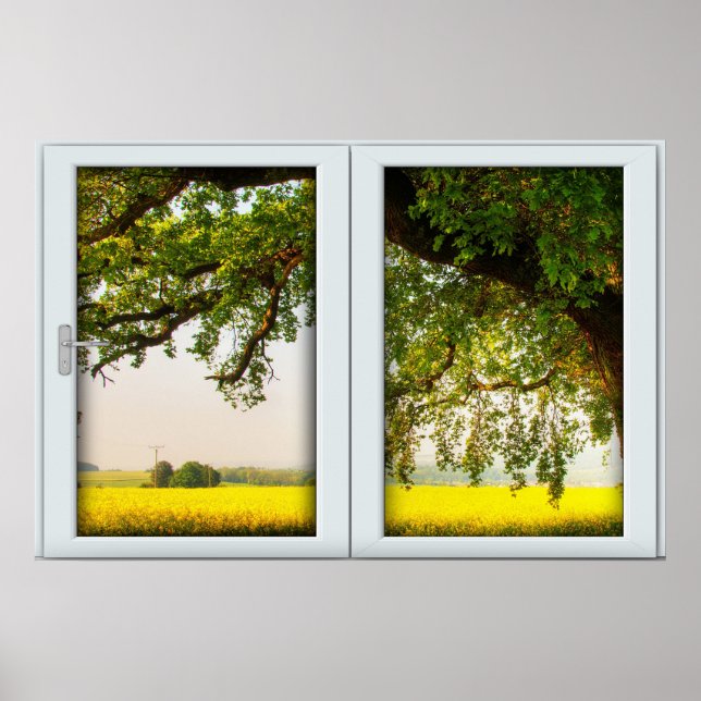 Oak Tree White 2 Pane Window Illusion Poster (Vorne)