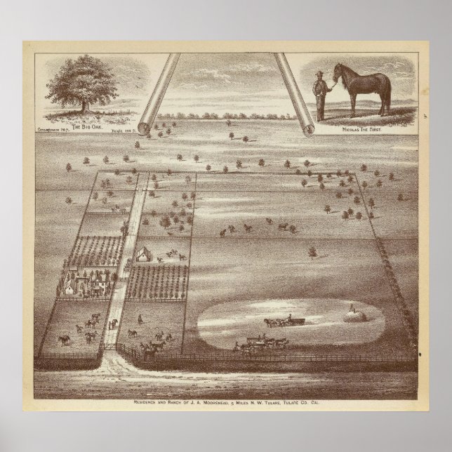 Oakdale Ranch Poster (Vorne)